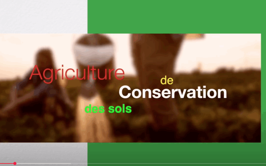AGRICULTURE DE CONCERVATION DES SOLS